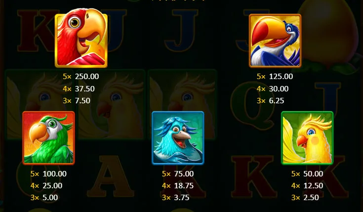 特殊符號與功能