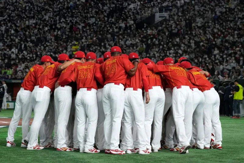 WBC經典賽資格賽中國隊33人大名單率先曝光! 2 1678405916431 d0c171a44bb04e16b7c4ec9bb4525b2f 800x534 1