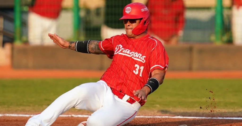 回顧林智勝中職生涯